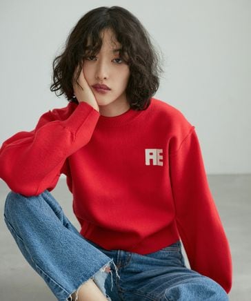 サステナブル・洗える】フェルト刺しゅうニットプルオーバー | [公式