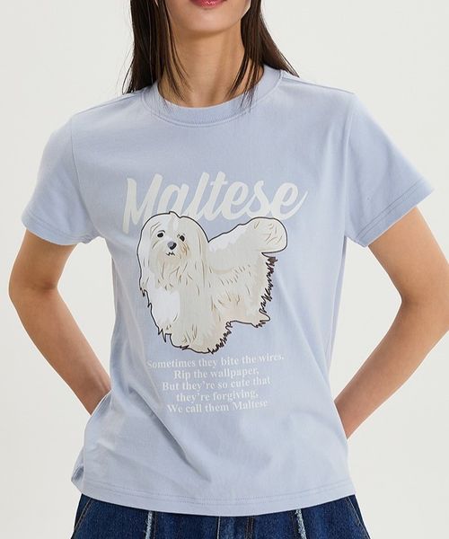 【UNISEX】Wai Kei/マルチーズイラストT ライトブルー M ユニインナー ALAND エーランド 137569 韓国通販 ドットエスティ 【UNISEX】Wai Kei/マルチーズイラストT ライトブルー M ユニインナー ALAND エーランド 137569 韓国通販 ドットエスティ