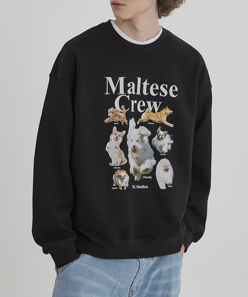 【UNISEX】Wai Kei/マルチーズクループルオーバー(ウラケ) シルバー M ユニインナー ALAND エーランド 173538 韓国通販 ドットエスティ 【UNISEX】Wai Kei/マルチーズクループルオーバー(ウラケ) シルバー M ユニインナー ALAND エーランド 173538 韓国通販 ドットエスティ