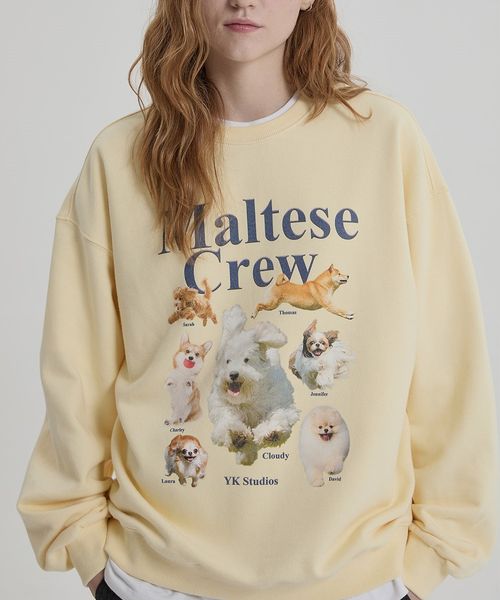 【UNISEX】Wai Kei/マルチーズクループルオーバー(ウラケ) イエロー L ユニインナー ALAND エーランド 173538 韓国通販 ドットエスティ 【UNISEX】Wai Kei/マルチーズクループルオーバー(ウラケ) イエロー L ユニインナー ALAND エーランド 173538 韓国通販 ドットエスティ