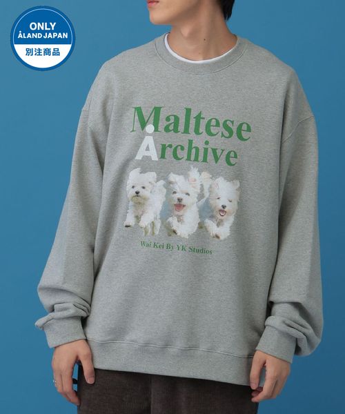 【UNISEX】Wai Kei／Amaltese プルオーバー(ウラケ) グレー M ユニインナー ALAND エーランド 611138 韓国通販 ドットエスティ