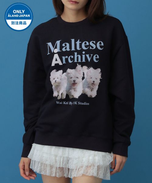 【UNISEX】Wai Kei/Amaltese プルオーバー(ウラケ) ネイビー L ユニインナー ALAND エーランド 611138 韓国通販 ドットエスティ 【UNISEX】Wai Kei/Amaltese プルオーバー(ウラケ) ネイビー L ユニインナー ALAND エーランド 611138 韓国通販 ドットエスティ