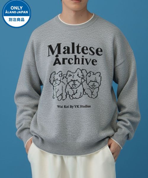 【UNISEX】Wai Kei×ALAND/Amaltese ニット グレー M ユニインナー ALAND エーランド 611141 韓国通販 ドットエスティ 【UNISEX】Wai Kei×ALAND/Amaltese ニット グレー M ユニインナー ALAND エーランド 611141 韓国通販 ドットエスティ