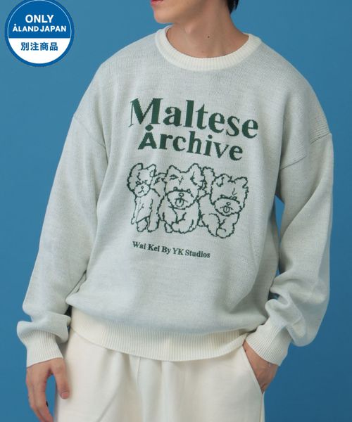 【UNISEX】Wai Kei×ALAND/Amaltese ニット ベージュ M ユニインナー ALAND エーランド 611141 韓国通販 ドットエスティ 【UNISEX】Wai Kei×ALAND/Amaltese ニット ベージュ M ユニインナー ALAND エーランド 611141 韓国通販 ドットエスティ