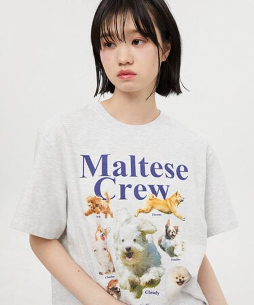 【UNISEX】Wai Kei/MalteseCrew Tシャツ グレー L ユニインナー ALAND エーランド 907770 韓国通販 ドットエスティ 【UNISEX】Wai Kei/MalteseCrew Tシャツ グレー L ユニインナー ALAND エーランド 907770 韓国通販 ドットエスティ