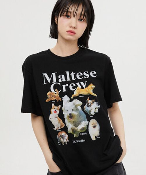【UNISEX】Wai Kei/MalteseCrew Tシャツ シルバー L ユニインナー ALAND エーランド 907770 韓国通販 ドットエスティ 【UNISEX】Wai Kei/MalteseCrew Tシャツ シルバー L ユニインナー ALAND エーランド 907770 韓国通販 ドットエスティ