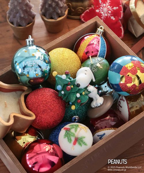 BAYFLOW 【PEANUTS×BAYFLOW】オブジェ★2025X'mas★ シーズンアイテム ブラック ベイフロー 151502 and ST アンドエスティ（旧ドットエスティ）