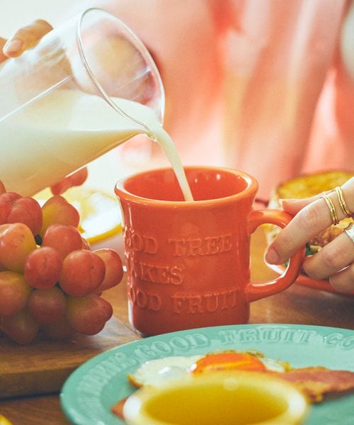 BAYFLOW [電子レンジ・食洗機可]BF JUICY COLORS マグカップ 食器 オレンジ ベイフロー 176983 and ST アンドエスティ（旧ドットエスティ）