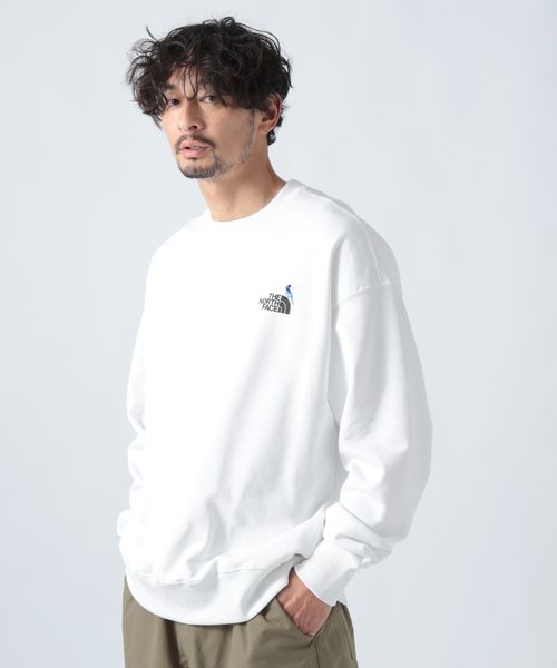 THE NORTH FACE(ザノースフェイス)】Picker Crew ロングTシャツ