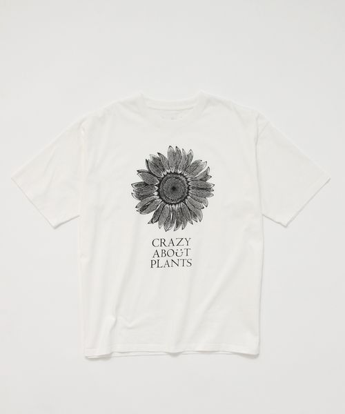 BAYFLOW 【AMERICAN RAG CIE×BANANA YAMAMOTO】SUNFLOWER Tシャツ ライトグレー L スペシャルライン ベイフロー 499770 and ST アンドエスティ(旧ドットエスティ) BAYFLOW 【AMERICAN RAG CIE×BANANA YAMAMOTO】SUNFLOWER Tシャツ ライトグレー L スペシャルライン ベイフロー 499770 and ST アンドエスティ(旧ドットエスティ)