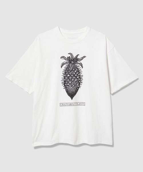BAYFLOW 【AMERICAN RAG CIE×BANANA YAMAMOTO】Pineapple Tシャツ ライトグレー M スペシャルライン ベイフロー 499771 and ST アンドエスティ(旧ドットエスティ) BAYFLOW 【AMERICAN RAG CIE×BANANA YAMAMOTO】Pineapple Tシャツ ライトグレー M スペシャルライン ベイフロー 499771 and ST アンドエスティ(旧ドットエスティ)