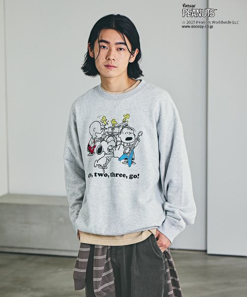 BAYFLOW 【PEANUTS×BAYFLOW】ピーナッツアソートスウェット グレー L メンズインナー ベイフロー 582270 and ST アンドエスティ(旧ドットエスティ) BAYFLOW 【PEANUTS×BAYFLOW】ピーナッツアソートスウェット グレー L メンズインナー ベイフロー 582270 and ST アンドエスティ(旧ドットエスティ)
