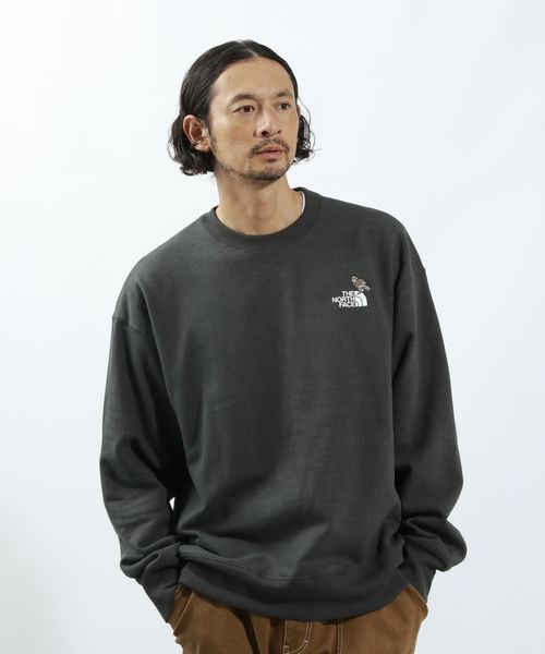 BAYFLOW THE NORTH FACE(ザ・ノース・フェイス)】ズーピッカークルー シルバー L メンズインナー ベイフロー 582540 and ST アンドエスティ(旧ドットエスティ) BAYFLOW THE NORTH FACE(ザ・ノース・フェイス)】ズーピッカークルー シルバー L メンズインナー ベイフロー 582540 and ST アンドエスティ(旧ドットエスティ)
