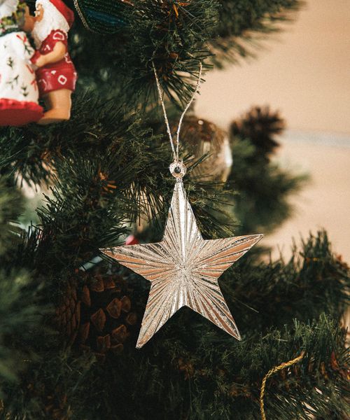 BAYFLOW 2FACEスターオーナメント★2025X'mas★ シーズンアイテム ライトグレー ベイフロー 587668 and ST アンドエスティ（旧ドットエスティ）