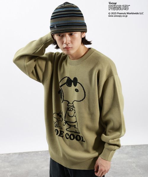 BAYFLOW 【PEANUTS×BAYFLOW】ピーナッツアソートニット ブラウン L メンズインナー ベイフロー 600254 and ST アンドエスティ(旧ドットエスティ) BAYFLOW 【PEANUTS×BAYFLOW】ピーナッツアソートニット ブラウン L メンズインナー ベイフロー 600254 and ST アンドエスティ(旧ドットエスティ)