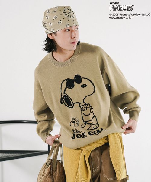 BAYFLOW 【PEANUTS×BAYFLOW】ピーナッツアソートニット ブラウン M メンズインナー ベイフロー 600254 and ST アンドエスティ(旧ドットエスティ) BAYFLOW 【PEANUTS×BAYFLOW】ピーナッツアソートニット ブラウン M メンズインナー ベイフロー 600254 and ST アンドエスティ(旧ドットエスティ)