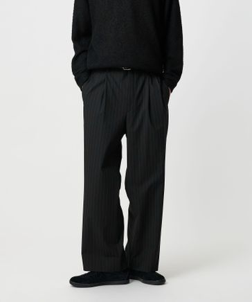 ピンストライプ トロ 2P パンツ | [公式]BEAUTY&YOUTH UNITED ARROWS