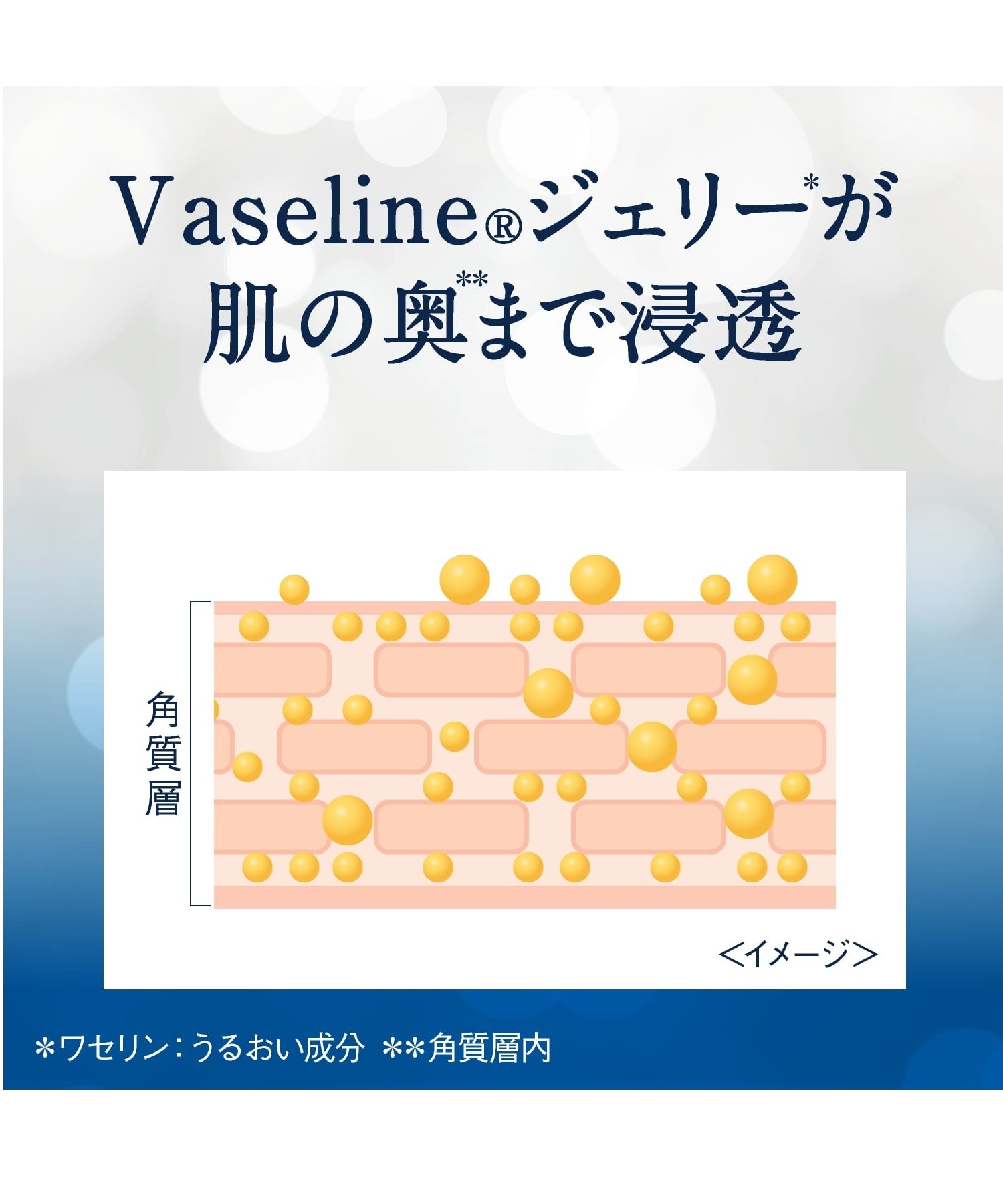 ブランドのギフト ヴァセリン アドバンスドリペア ボディローション 400ml 無香料 1セット 2個 シービック