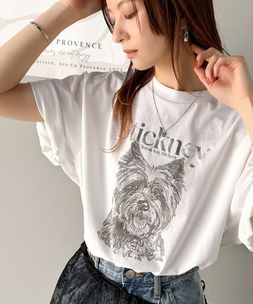 classical elf 上品カジュアルを楽しむ。シルケット風アニマルTシャツ(半袖)ce1330029 ホワイト S ウィメンズインナー_CE クラシカルエルフ 325035 and ST アンドエスティ(旧ドットエスティ) classical elf 上品カジュアルを楽しむ。シルケット風アニマルTシャツ(半袖)ce1330029 ホワイト S ウィメンズインナー_CE クラシカルエルフ 325035 and ST アンドエスティ(旧ドットエスティ)