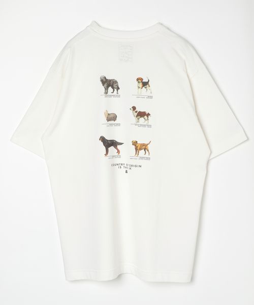 GLOBAL WORK グラフィックTシャツ2/半袖/492473 ホワイト M メンズインナー グローバルワーク 492473 and ST アンドエスティ(旧ドットエスティ) GLOBAL WORK グラフィックTシャツ2/半袖/492473 ホワイト M メンズインナー グローバルワーク 492473 and ST アンドエスティ(旧ドットエスティ)