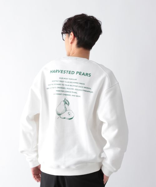 GLOBAL WORK グラフィックスウェットプルオーバー/611146 オフホワイト XL メンズインナー グローバルワーク 611146 and ST アンドエスティ(旧ドットエスティ) GLOBAL WORK グラフィックスウェットプルオーバー/611146 オフホワイト XL メンズインナー グローバルワーク 611146 and ST アンドエスティ(旧ドットエスティ)