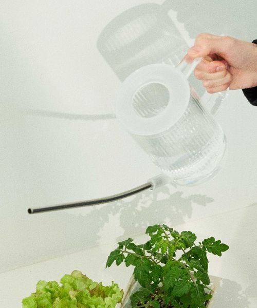 LAKOLE V_[W[[1L] O[ NA FREE R 184484 and ST AhGXeBihbgGXeBj