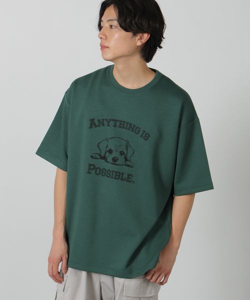 LAKOLE ダンボールアニマル半袖T グリーン L メンズインナー ラコレ 325997 and ST アンドエスティ(旧ドットエスティ) LAKOLE ダンボールアニマル半袖T グリーン L メンズインナー ラコレ 325997 and ST アンドエスティ(旧ドットエスティ)