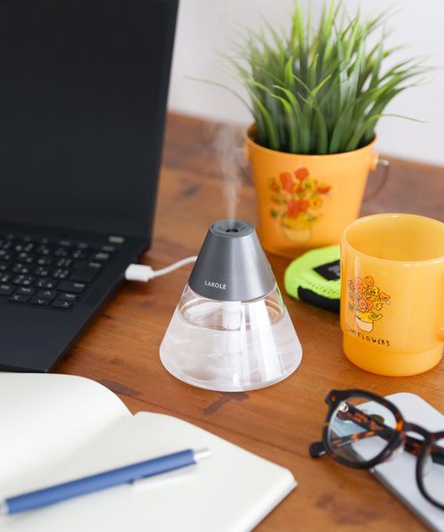 LAKOLE ミニUSB加湿器 AV家電 チャコールグレー FREE ラコレ 591148 and ST アンドエスティ(旧ドットエスティ) LAKOLE ミニUSB加湿器 AV家電 チャコールグレー FREE ラコレ 591148 and ST アンドエスティ(旧ドットエスティ)