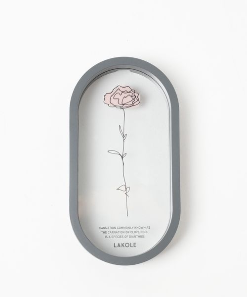 LAKOLE オーバルフッキングフレーム/アウトレット価格 インテリア用品 チャコールグレー FREE ラコレ 970687 and ST アンドエスティ(旧ドットエスティ) LAKOLE オーバルフッキングフレーム/アウトレット価格 インテリア用品 チャコールグレー FREE ラコレ 970687 and ST アンドエスティ(旧ドットエスティ)