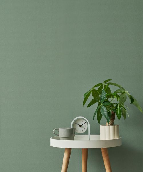 LAKOLE はがせる壁紙(45cm)[一部店舗限定アイテム] インテリア用品 グリーン FREE ラコレ 993751 and ST アンドエスティ（旧ドットエスティ）