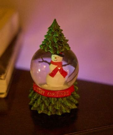 楽天市場】【SALE／50%OFF】[2021Xmas]スノードーム サンタと犬