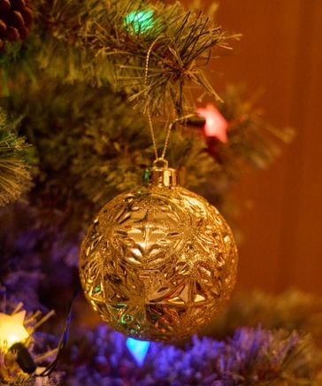 ジェントルジャイアント　コマンダーコーディ クリスマス仕様　世界1500体限定 No.769_2133x.jpg?v=1691817519