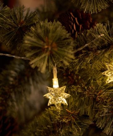 ジェントルジャイアント　コマンダーコーディ クリスマス仕様　世界1500体限定 item_139987_main_01_1728984616.jpg