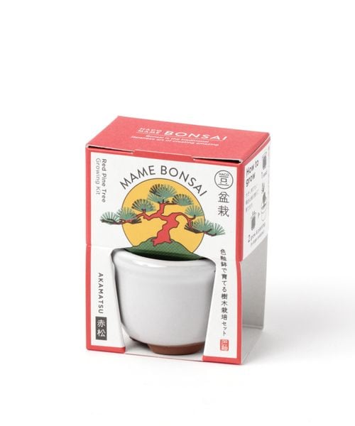 niko and .�͔|�Z�b�g �~�� �O���[�� ���C�g�O���[ �j�R�A���h 183642 and ST �A���h�G�X�e�B�i���h�b�g�G�X�e�B�j