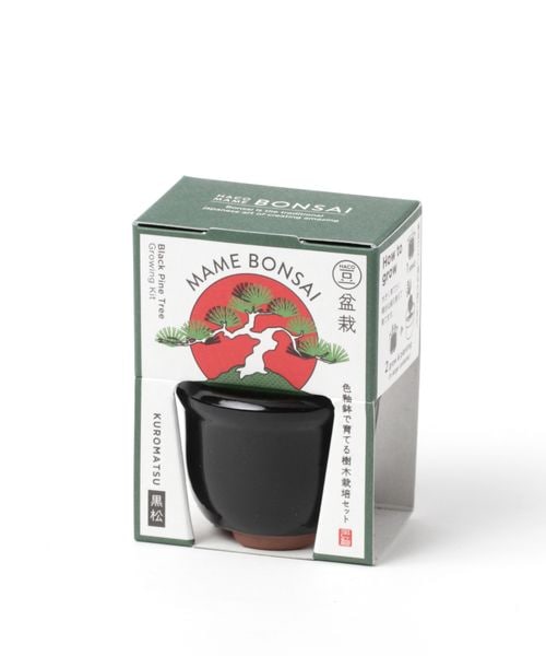 niko and .�͔|�Z�b�g �~�� �O���[�� �V���o�[ �j�R�A���h 183642 and ST �A���h�G�X�e�B�i���h�b�g�G�X�e�B�j