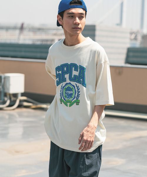niko and .アソートカレッジロゴTシャツ ライトグレー L メンズインナー ニコアンド 492923 and ST アンドエスティ(旧ドットエスティ) niko and .アソートカレッジロゴTシャツ ライトグレー L メンズインナー ニコアンド 492923 and ST アンドエスティ(旧ドットエスティ)