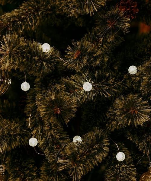 niko and .【2025Xmas】LEDボールガーランド/全長190cm 季節(クリスマス) ホワイト ニコアンド 571834 and ST アンドエスティ(旧ドットエスティ) niko and .【2025Xmas】LEDボールガーランド/全長190cm 季節(クリスマス) ホワイト ニコアンド 571834 and ST アンドエスティ(旧ドットエスティ)