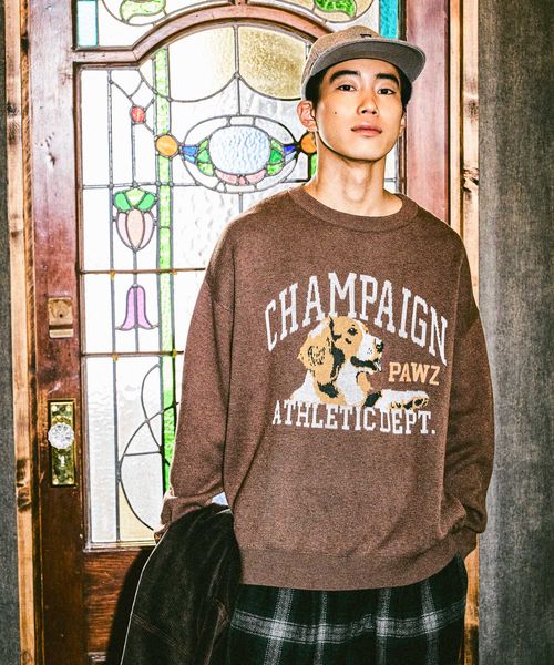 niko and .【WEB限定カラー登場!】アニマルグラフィックニットプルオーバー ライトベージュ L メンズインナー ニコアンド 594081 and ST アンドエスティ(旧ドットエスティ) niko and .【WEB限定カラー登場!】アニマルグラフィックニットプルオーバー ライトベージュ L メンズインナー ニコアンド 594081 and ST アンドエスティ(旧ドットエスティ)