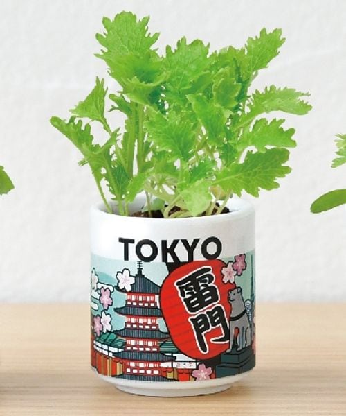 niko and .�͔|�Z�b�g �i�`�o�`�m �O���[�� �z���C�g �j�R�A���h 603186 and ST �A���h�G�X�e�B�i���h�b�g�G�X�e�B�j