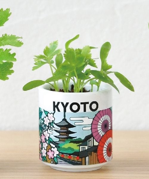 niko and .�͔|�Z�b�g �i�`�o�`�m �O���[�� �z���C�g �j�R�A���h 603186 and ST �A���h�G�X�e�B�i���h�b�g�G�X�e�B�j