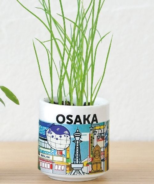 niko and .�͔|�Z�b�g �i�`�o�`�m �O���[�� �z���C�g �j�R�A���h 603186 and ST �A���h�G�X�e�B�i���h�b�g�G�X�e�B�j