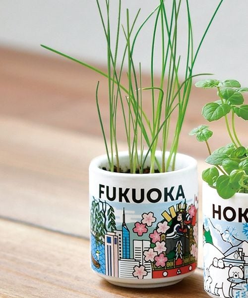 niko and .�͔|�Z�b�g �i�`�o�`�m �O���[�� �I�t�z���C�g �j�R�A���h 603186 and ST �A���h�G�X�e�B�i���h�b�g�G�X�e�B�j