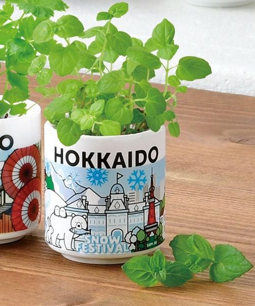 niko and .�͔|�Z�b�g �i�`�o�`�m �O���[�� �I�t�z���C�g �j�R�A���h 603186 and ST �A���h�G�X�e�B�i���h�b�g�G�X�e�B�j