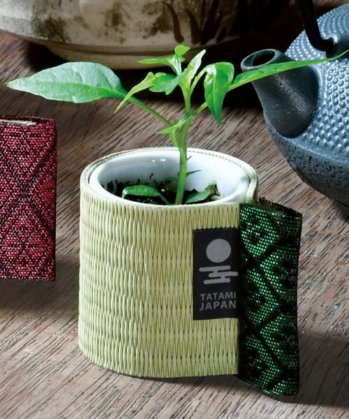 niko and .�͔|�Z�b�g �� �O���[�� �O���[�� �j�R�A���h 603202 and ST �A���h�G�X�e�B�i���h�b�g�G�X�e�B�j