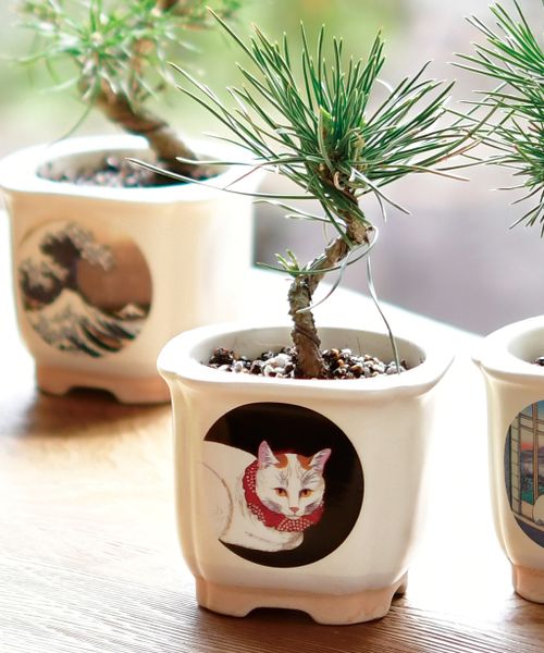 niko and .�i�`�o�`�m�d�r�d �a�n�m�r�`�h �O���[�� �z���C�g �j�R�A���h 603206 and ST �A���h�G�X�e�B�i���h�b�g�G�X�e�B�j