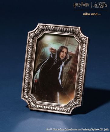 niko and ... Harry Potter collaboration item