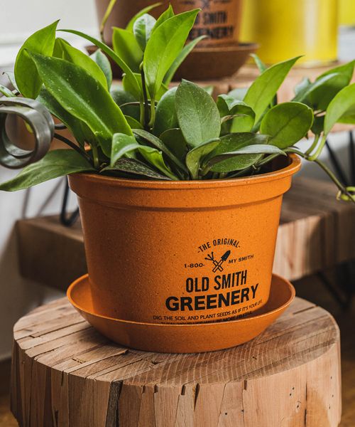 niko and .【OLD SMITH GREENERY】ポットソーサー付き Lサイズ OLD SMITH オレンジ ニコアンド 976898 and ST アンドエスティ(旧ドットエスティ) niko and .【OLD SMITH GREENERY】ポットソーサー付き Lサイズ OLD SMITH オレンジ ニコアンド 976898 and ST アンドエスティ(旧ドットエスティ)