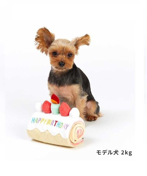 犬用】ロールケーキノーズワーク【終売】 | [公式]P2 DOG and