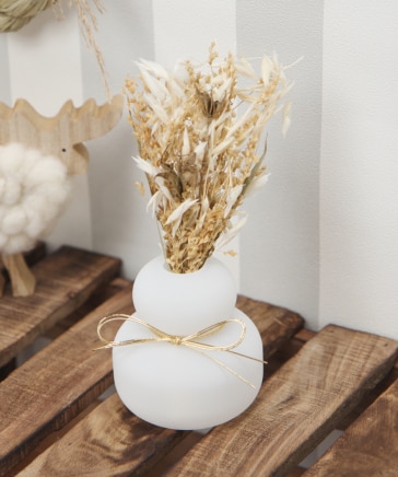 ドライフワラーin鏡餅【晴れの日】 | [公式]スタディオクリップ