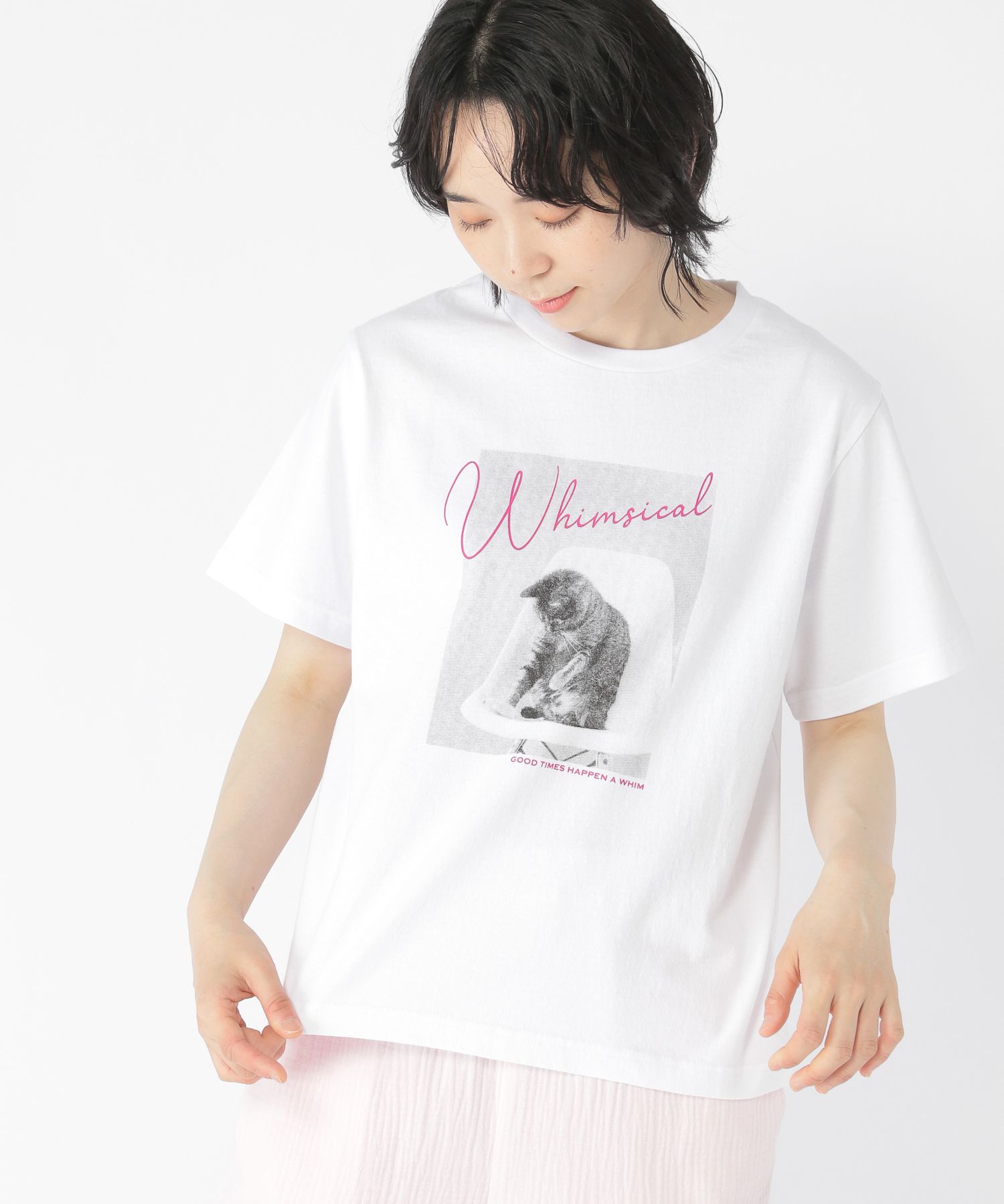 my fit CLIP / WEB限定】アニマルフォトTシャツ | [公式]スタディオ